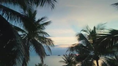 Tropiklerde gün batımı, dinlenmek için en iyi yer. Hindistan cevizi palmiye yaprakları arasında hışırdayan hafif ticaret rüzgarları çarpıcı pastel gökyüzüne karşı sakin bir atmosfer yaratır, güneş canlı tropikal cennetin üzerinde batar..