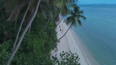 Palmiye ağaçlarıyla kaplı güzel beyaz kumsalda yürüyen turistlerin hava manzarası sakin bir tropik cennet manzarası yaratıyor. Düz palmiye gölgeleri denize doğru uzanıyor
