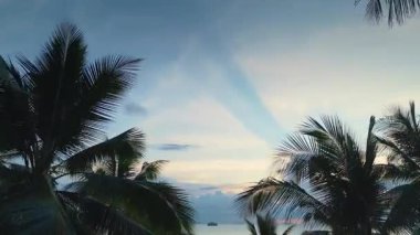 İnsansız hava aracı palmiye ağaçlarından denize uçuyor. Bulutlu gökyüzünde süzülen crepusküler ışınlar, sallanan palmiye ağaçları tarafından çerçevelenmiş sakin okyanus sahnesini aydınlatır, günbatımında sakin bir tropik cennet yaratır.