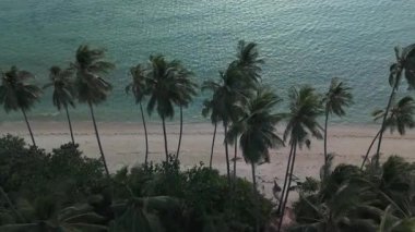 Alacakaranlıkta tropik plajın sakin güzelliğini yakalıyor, el değmemiş kıyı şeridi boyunca ılık rüzgarda sallanan palmiye ağaçları huzur ve sükunet manzarası yaratıyor. Tropik palmiyeler sakin plajlar