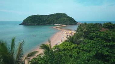 Palmiye ağaçları tarafından çerçevelenmiş ada kıyısı. Turistler güzel tropikal sahillerde yüzüyor ve güneşleniyorlar. Zengin adayı anakaraya bağlıyorlar. Palmiye ağaçları ve ön planda tropikal bitki örtüsüyle.