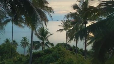 Tropik bölgelerin insansız hava aracı görüntüsü. Bereketli yeşil yapraklar ve sallanan palmiyeler... Gün batımında sakin okyanus manzarasını çerçeveliyorlar. Doğal güzelliklerle dolu canlı tropikal cennette sakin bir manzara yaratıyorlar..
