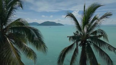 Hindistan cevizi ağaçları kıyı şeridine bakıyor. Bereketli palmiye ağaçları, bulutlu gökyüzü altında tropikal cennet atmosferine eklenen sakin turkuaz okyanusun nefes kesici görüntüsünü oluştururlar.