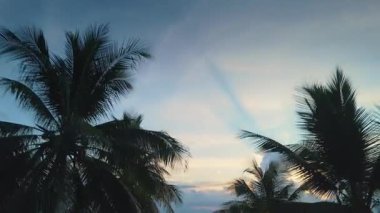 Hindistan cevizi palmiyeleri, gün batımında tropikal esintide sallanarak sakin ve huzurlu bir manzara yaratır. Rahatlamayı, tatili ve doğanın güzelliğini temsil eder.