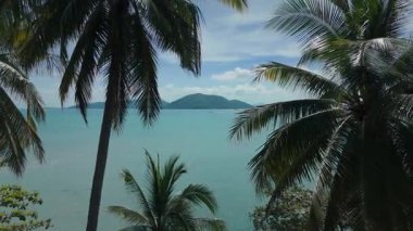 Tropik Tatil, Gezgin Şehveti. Bereketli palmiye ağaçları canlı turkuaz okyanus boyunca nefes kesici tropikal ada manzarası oluşturarak huzur ve sükuneti ve huzur cennetini davet ederek huzurlu ve huzurlu bir manzara yaratır.