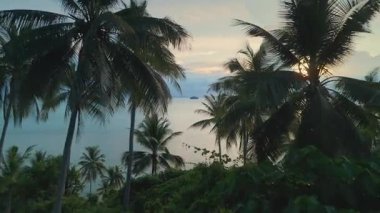 Bereketli yeşil palmiye ağaçları, günbatımında güzel bir adada, tropikal esintide yavaşça sallanır, sakin okyanus sularına ve ufuktaki uzak adaya bakar. Tropik kuşakların palmiye ağaçlarından denize uzaktan kumandalı görüntüsü