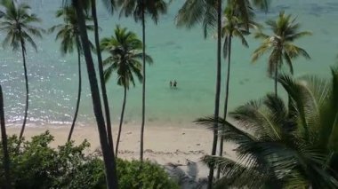 Turistler güneşli bir günde sakin, berrak bir turkuaz okyanus suyunda yürürken, palmiye ağaçları cennet manzarasını çerçeveleyerek sükunet ve kaçış hissi yaratıyor. Temiz turkuaz suyu olan kumsal.