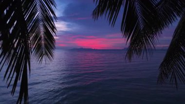 Canlı günbatımı, sakin okyanus üzerinde pembe ve mor renkler ile gökyüzünü boyar, palmiye yapraklarının siluetinden görülür, sakin bir tropik cennet sahnesi yaratır. Palmiye yapraklarıyla çerçevelenmiş gün batımı deniz manzarası