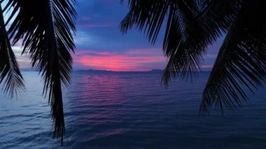 Avuç içleri gün batımında gökyüzüne dönük. Canlı tropikal günbatımı, durgun okyanus sularında pembe, mor ve turuncu ılık renkler sergiliyor. Palmiye ağacı siluetleri, alacakaranlıkta sakin manzarayı çerçeveliyor.