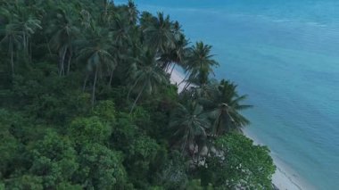 Tropik plaj manzarası, palmiye ağaçları turkuaz suyun etrafında doğal bir çerçeve oluşturarak huzurlu ve cennet gibi bir ada kaçışı sunuyor. Tropik adalardaki açık sahil şeridinde yemyeşil tepeler