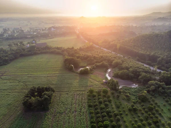 Hava aracının Tayland 'da alacakaranlıkta dönen bir orman yolunun hava görüntüsü..