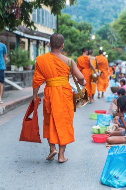 Keşiş sabah Luang Prabang, Laos 'ta yemek yemek için yürüyordu..