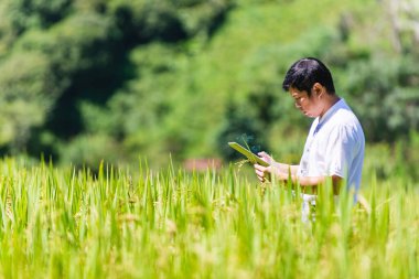 Asyalı bir çiftçi tarafından pirinç tarlası işletiliyor. Elleriyle ektikten sonra bir pirinç bitkisini inceleyen, planlayan ya da analiz eden bir adam. Tarım endüstrisi konsepti