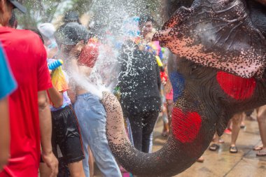 Neşeli bir fil renkli bir su festivali sırasında kalabalığa su püskürtür.