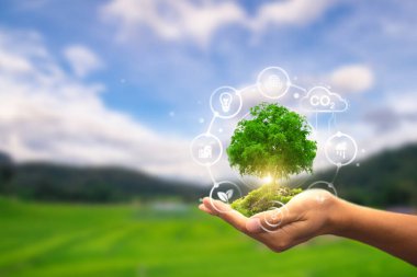 Manzaraya karşı sürdürülebilir enerji ve ekolojik kavramları sembolize eden ikonlarla dolu gür bir ağacı tutan bir el.