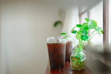 Plastik bardaklarda buzlu kahve. Pencerenin yanındaki ahşap rafta yeşil bir saksı bitkisinin yanında..