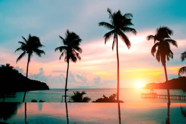 Güzel bir günbatımında okyanus kenarında palmiye ağaçları olan havuz, kopyalama alanı.