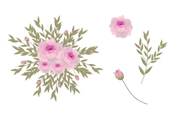 Set Aus Rosa Floralen Elementen Und Arrangements — Stockvektor