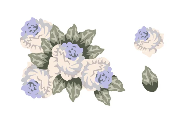 Különböző Színes Elrendezése Gyönyörű Levelek Virágok — Stock Vector