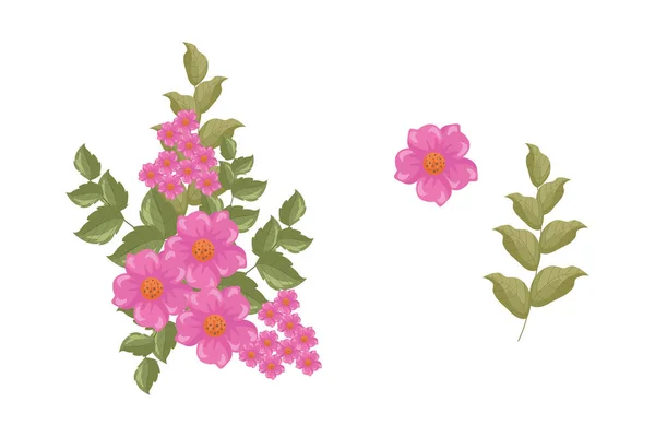 Eine Vielzahl Farbenfroher Arrangements Aus Schönen Blättern Und Blumen — Stockvektor
