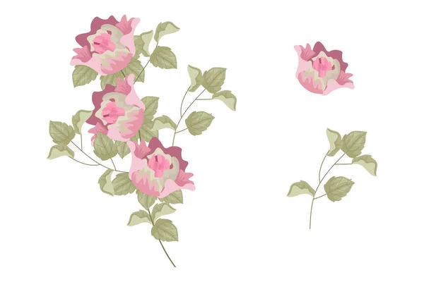 Různé Barevné Uspořádání Krásných Listů Květin — Stockový vektor
