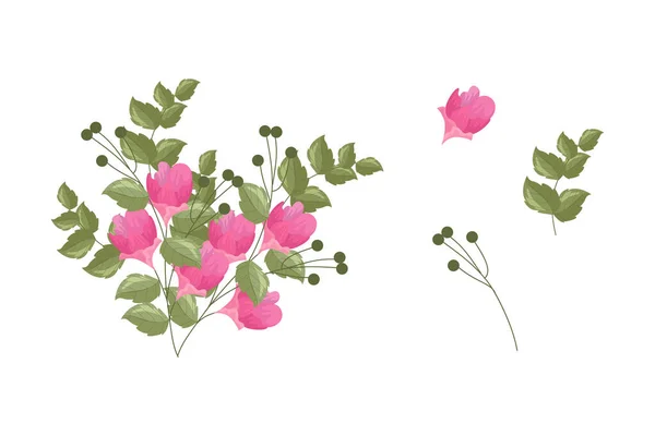Разнообразие Красочных Композиции Красивых Листьев Цветов — стоковый вектор
