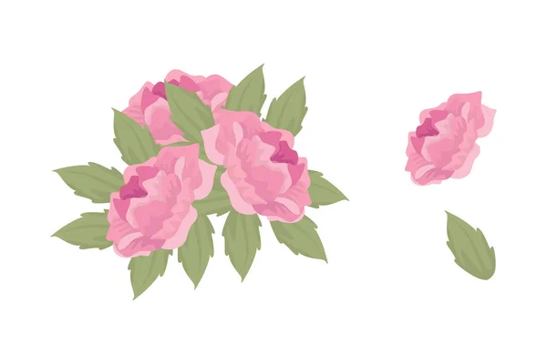 Mängd Färgglada Arrangemang Vackra Blad Och Blommor — Stock vektor