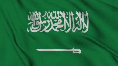 Suudi Arabistan bayrağı kusursuz döngü animasyonu. Ekvador 'un ulusal bayrağı. 3D bayrak kumaş yüzey arkaplanının mükemmel kalitede videosu