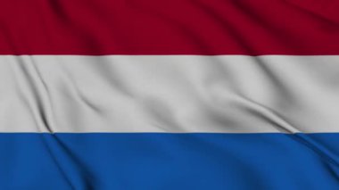 Hollanda bayrağı dikişsiz döngü animasyonu. Ekvador 'un ulusal bayrağı. 3D bayrak kumaş yüzey arkaplanının mükemmel kalitede videosu
