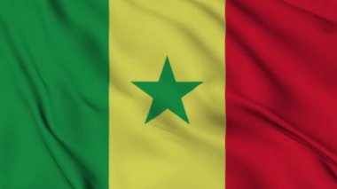 Senegal bayrağı dikişsiz döngü animasyonu. Ekvador 'un ulusal bayrağı. 3D bayrak kumaş yüzey arkaplanının mükemmel kalitede videosu