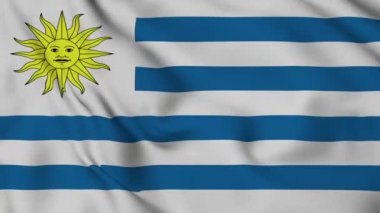 Uruguay bayrağı kusursuz döngü animasyonu. Ekvador 'un ulusal bayrağı. 3D bayrak kumaş yüzey arkaplanının mükemmel kalitede videosu