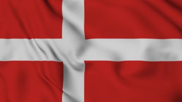 Dänemark Zeigt Eine Animation Nahtloser Schleife Die Nationalflagge Ecuadors Video — Stockvideo