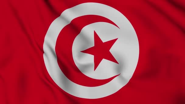 Tunisie Drapeau Boucle Sans Couture Animation Drapeau National Équateur Vidéo — Video