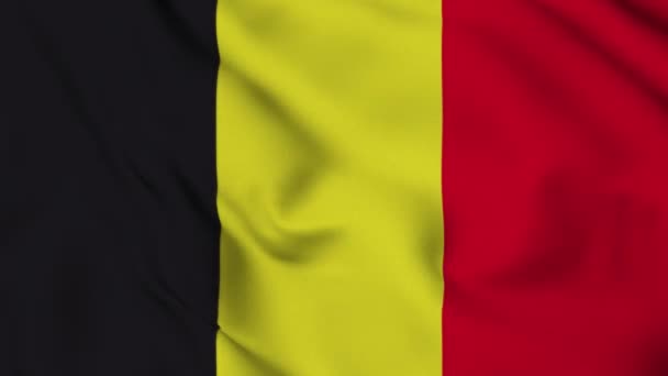 Belgium Zászló Zökkenőmentes Ciklus Animáció Ecuador Nemzeti Zászlaja Videó Zászló — Stock videók