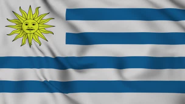 Uruguay Zászló Zökkenőmentes Ciklus Animáció Ecuador Nemzeti Zászlaja Videó Zászló — Stock videók