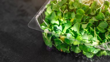 Plastik kabın içinde mikroyeşil lahanalar. mikroyeşillikler - sağlıklı ve taze yiyecekler. Kenevir Biyoçözünürlüğü üzerinde mikroçerezler. Evde tohum filizlenmesi. Vegan ve sağlıklı gıda konsepti.