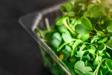 Plastik kabın içinde mikroyeşil lahanalar. mikroyeşillikler - sağlıklı ve taze yiyecekler. Kenevir Biyoçözünürlüğü üzerinde mikroçerezler. Evde tohum filizlenmesi. Vegan ve sağlıklı gıda konsepti.