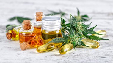 Yeşil yapraklı marihuana yağı. Tıbbi marihuana çiçeği tomurcukları. Kenevir tomurcukları - Tıbbi marihuana kavramı