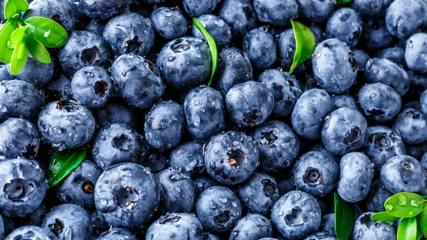 Water Drops Ripe Sweet Blueberry Fresh Blueberries Background Copy Space — Stock Photo, Image
