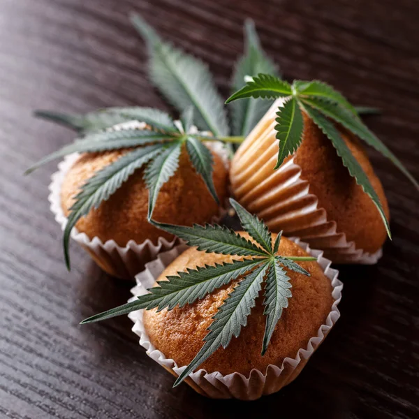 Cupcake Marijuana Traditional Sponge Cake Cannabis Weed Cbd Drogas Médicas — Fotografia de Stock