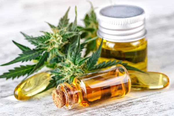 Grüne Blätter Von Medizinischem Cannabis Mit Extrakt Knospen Von Medizinischem — Stockfoto