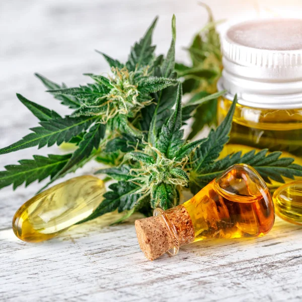 Grüne Blätter Von Medizinischem Cannabis Mit Extrakt Knospen Von Medizinischem — Stockfoto