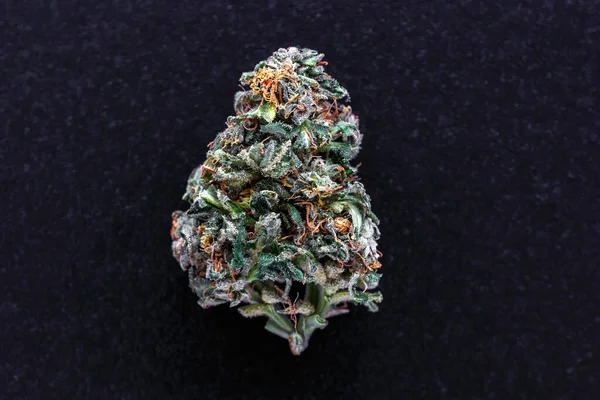 Medical Marijuana Flower Buds Recreational Marijuana Strain Cannabis Strain Dispensary — Stock Photo, Image