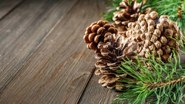 Çam kozalağı ve yeşil dal ahşap masa üzerinde kar, metin için kopyalama alanı. Ahşap arka planda çam kozalakları..