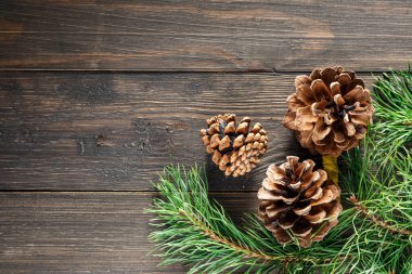 Çam kozalağı ve yeşil dal ahşap masa üzerinde kar, metin için kopyalama alanı. Ahşap arka planda çam kozalakları..