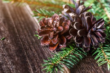 Çam kozalağı ve yeşil dal ahşap masa üzerinde kar, metin için kopyalama alanı. Ahşap arka planda çam kozalakları..