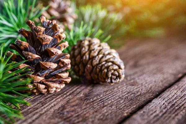 Pine Cone Green Branch Wooden Table Snow Copy Space Text — Stock Photo, Image