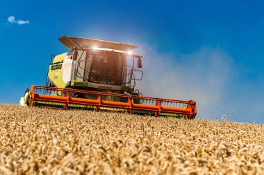  Ukrayna. Kyiv. 23 Temmuz 2022: Çağdaş Claas Lexion tarlada tahıl hasadını topluyor. Mavi gökyüzünde tarım makinesi..