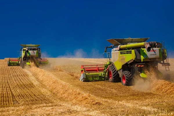 ウクライナだ キエフ 2022年 昭和27年 7月23日 現代コンバイン クラス レクシオンの畑で穀物を収穫し 畑で収穫する 青空に農業機械 — ストック写真