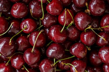 Kiraz rengi arka plan. Yukarıdan çekilen parlak kırmızı kirazlara yakın çekim. Damlalı kiraz. Gıda arkaplanı.